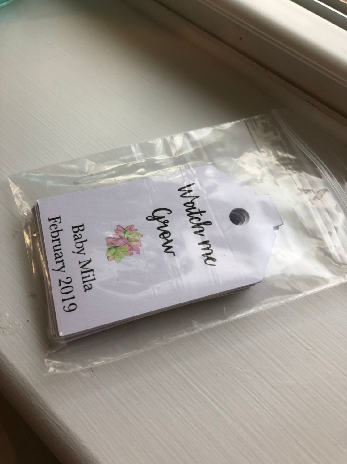 Baby shower tags, watch me grow succulent favor tags gift tags baby shower gift tags SUCCULENTS NOT INCLUDED - Set of 25