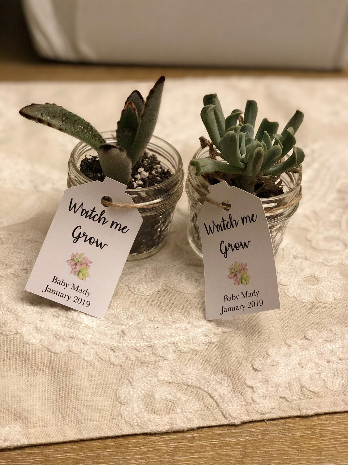 Baby shower tags, watch me grow succulent favor tags gift tags baby shower gift tags SUCCULENTS NOT INCLUDED - Set of 25