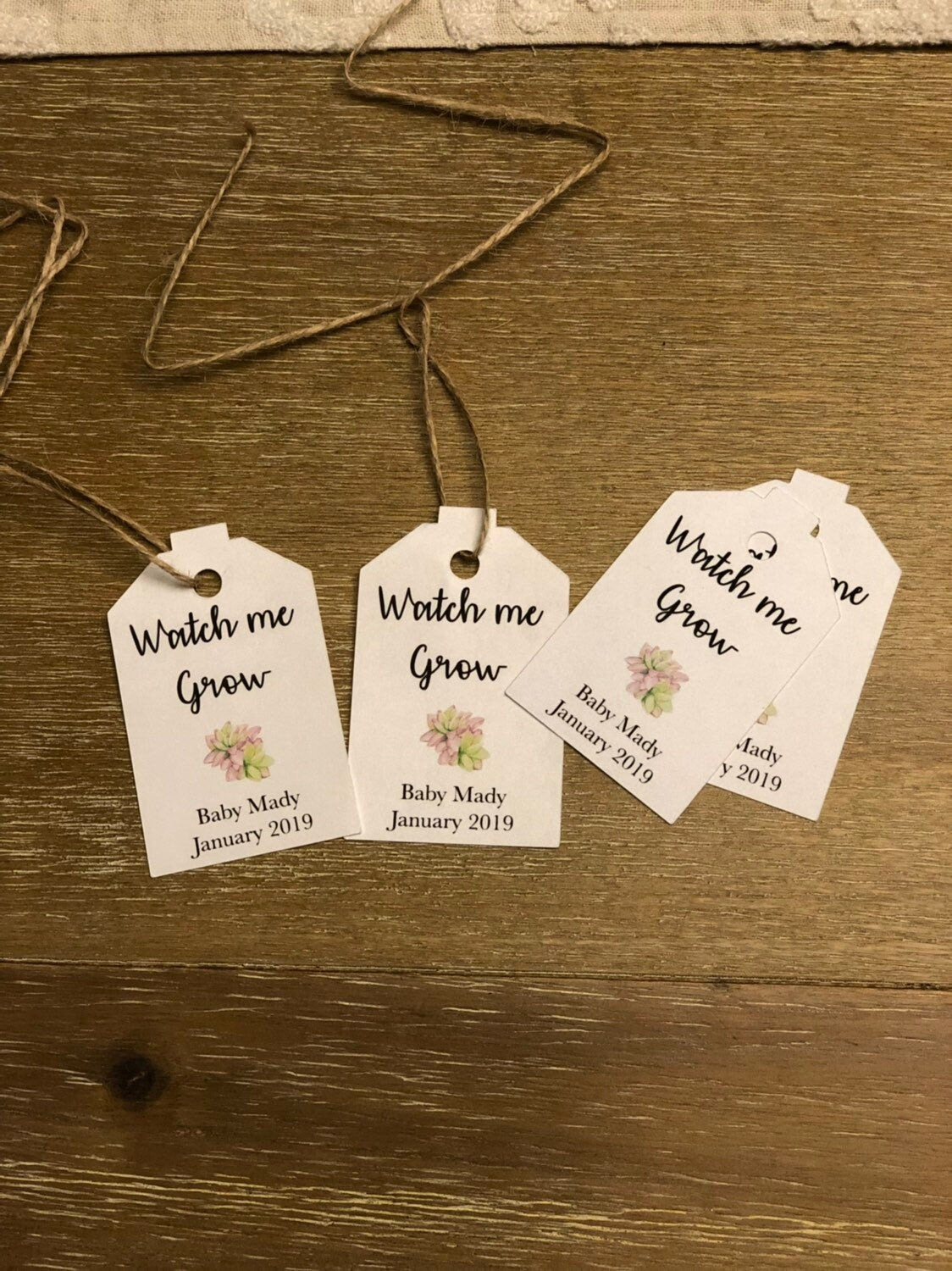 Baby shower tags, watch me grow succulent favor tags gift tags baby shower gift tags SUCCULENTS NOT INCLUDED - Set of 25