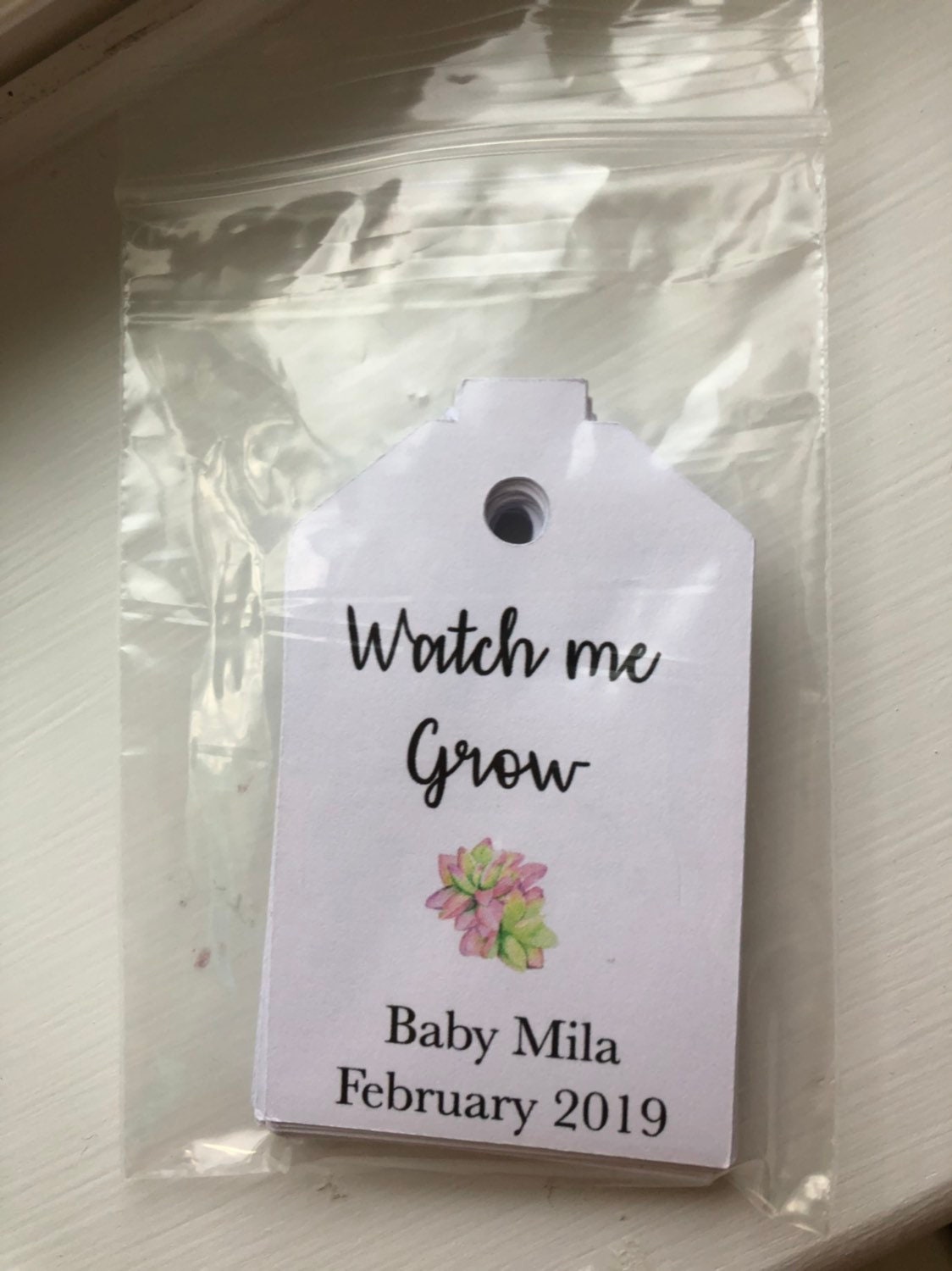 Baby shower tags, watch me grow succulent favor tags gift tags baby shower gift tags SUCCULENTS NOT INCLUDED - Set of 25