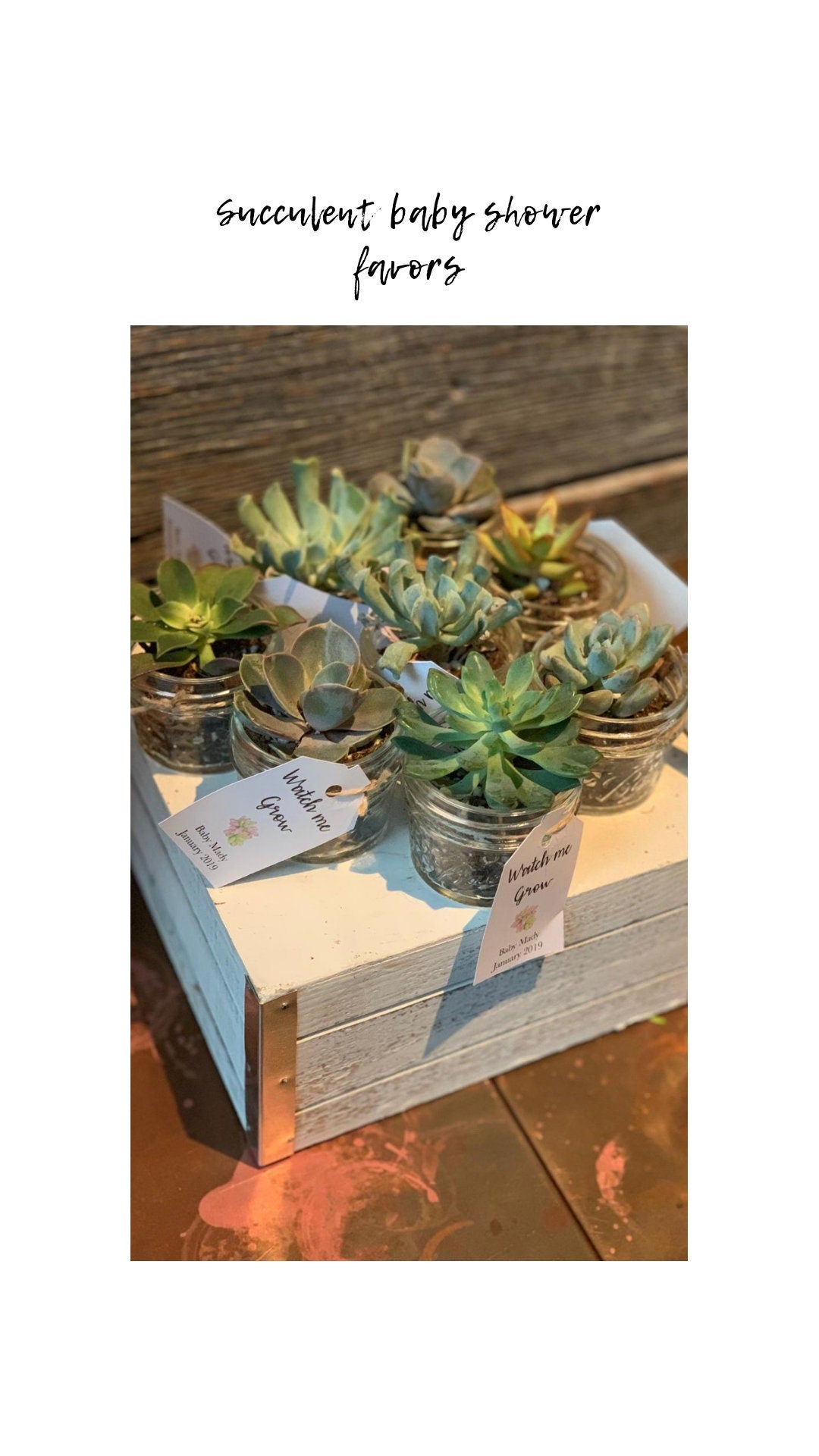 Baby shower tags, watch me grow succulent favor tags gift tags baby shower gift tags SUCCULENTS NOT INCLUDED - Set of 25