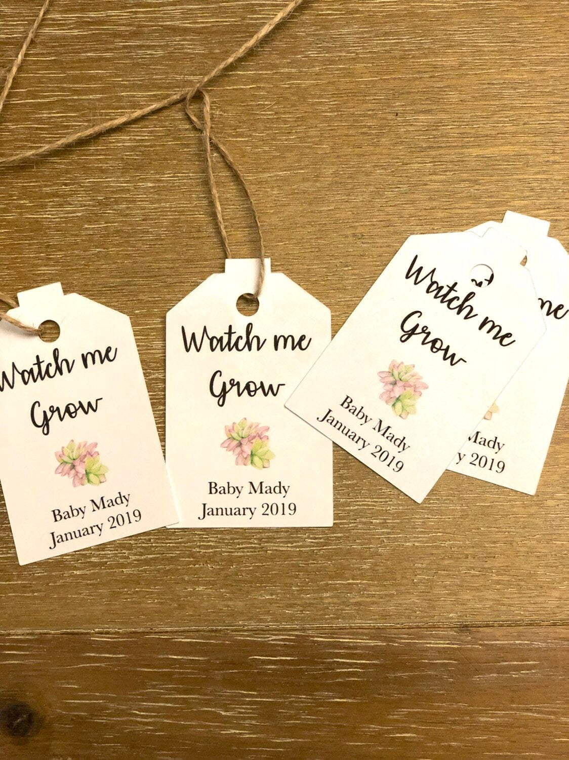 Baby shower tags, watch me grow succulent favor tags gift tags baby shower gift tags SUCCULENTS NOT INCLUDED - Set of 25