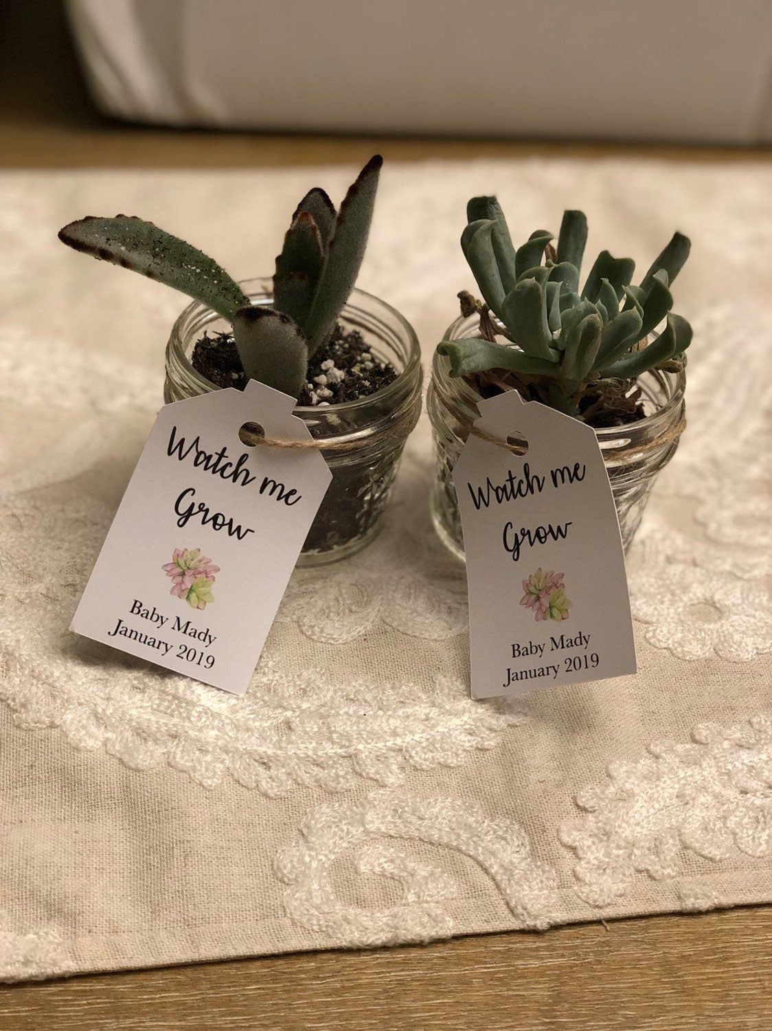 Baby shower tags, watch me grow succulent favor tags gift tags baby shower gift tags SUCCULENTS NOT INCLUDED - Set of 25