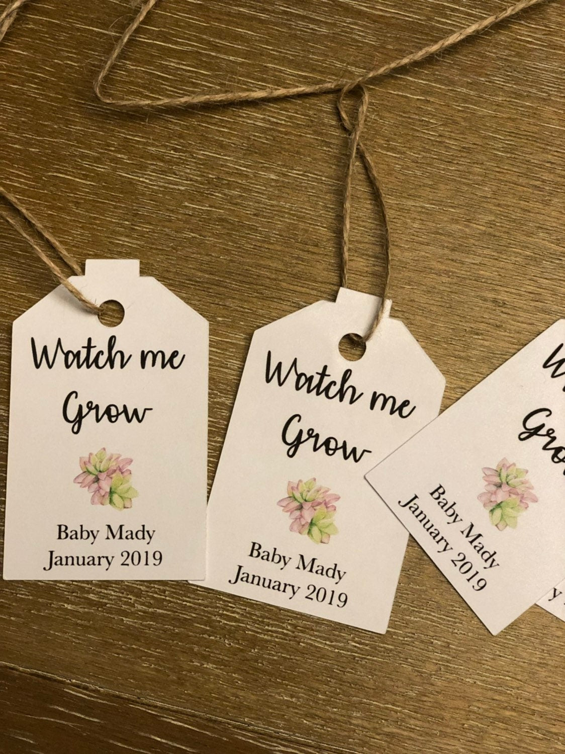 Baby shower tags, watch me grow succulent favor tags gift tags baby shower gift tags SUCCULENTS NOT INCLUDED - Set of 25
