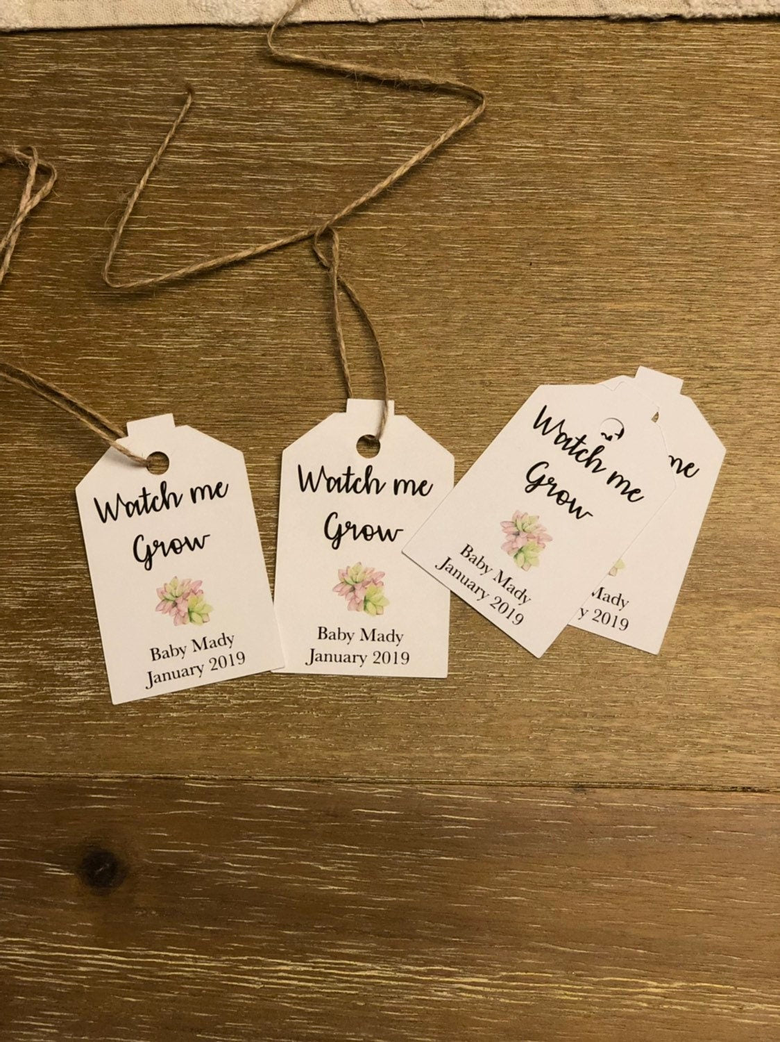 Baby shower tags, watch me grow succulent favor tags gift tags baby shower gift tags SUCCULENTS NOT INCLUDED - Set of 25