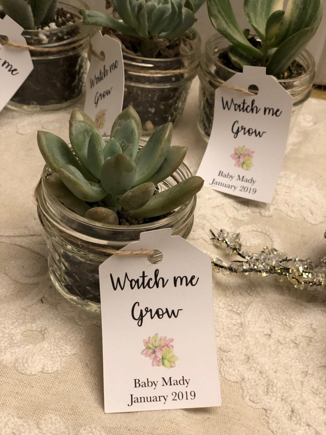 Baby shower tags, watch me grow succulent favor tags gift tags baby shower gift tags SUCCULENTS NOT INCLUDED - Set of 25