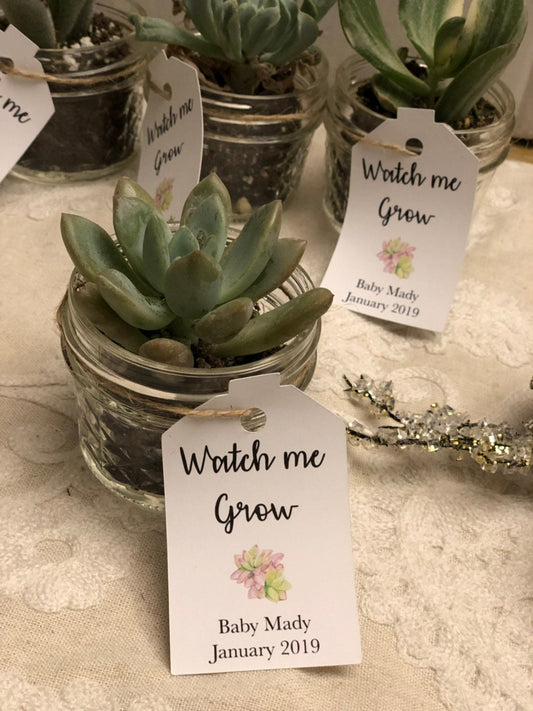Baby shower tags, watch me grow succulent favor tags gift tags baby shower gift tags SUCCULENTS NOT INCLUDED - Set of 25